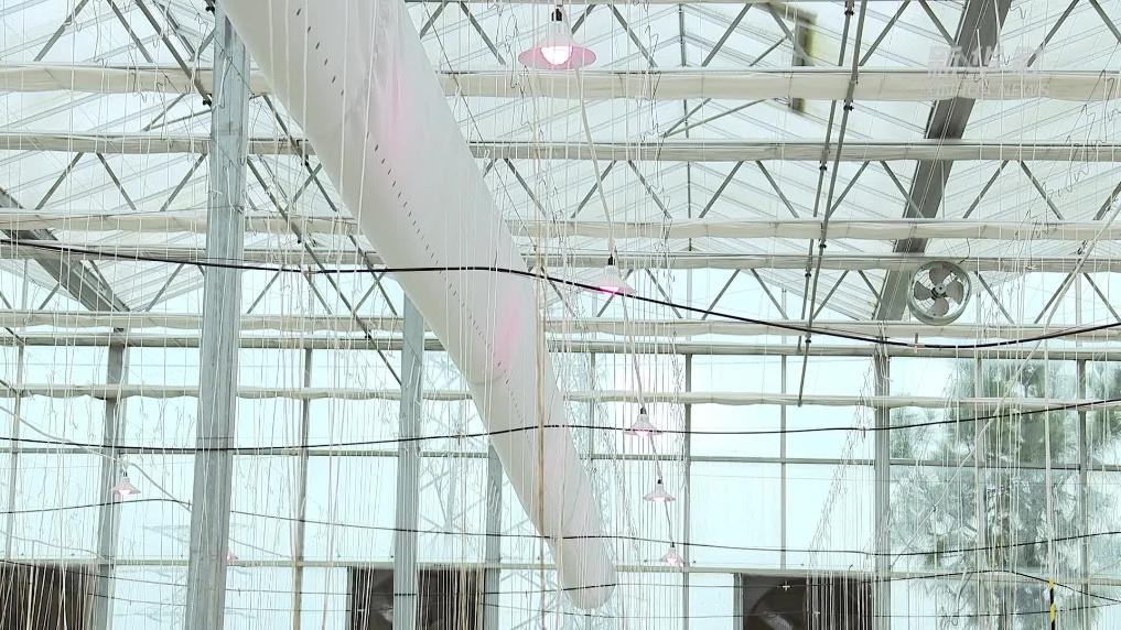 战风雪 保民生|寒潮来袭 浙江多地“数智+”硬核守护“民生温度”