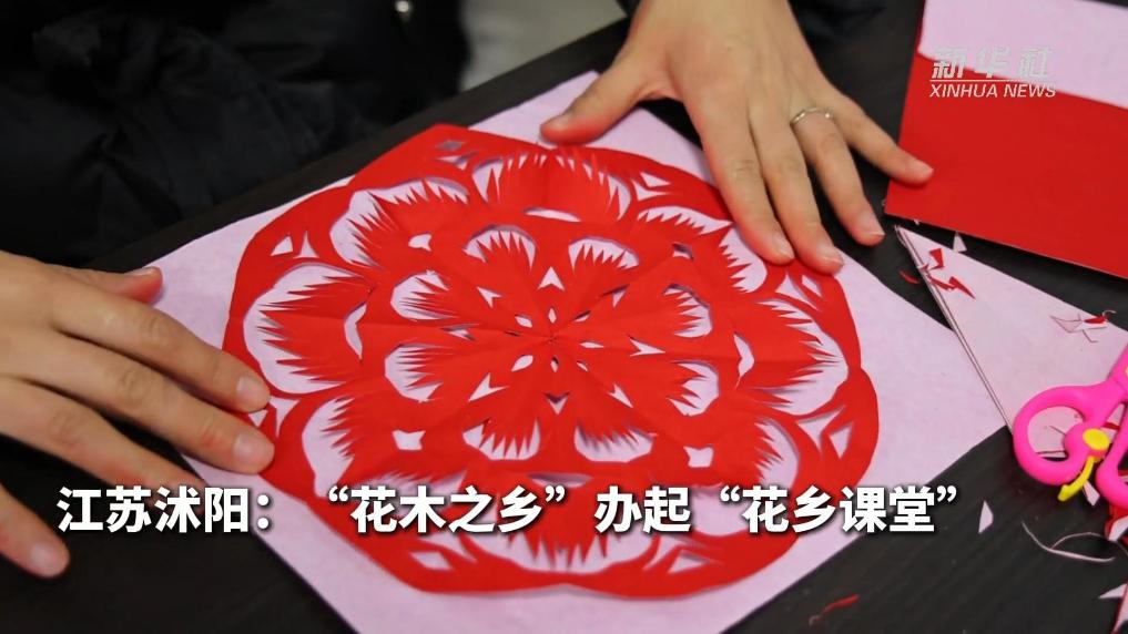 江苏沭阳：“花木之乡”办起“花乡课堂”