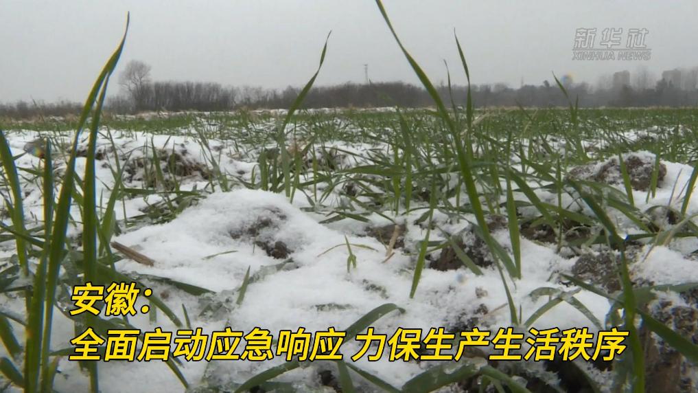 战风雪 保民生｜ 安徽：全面启动应急响应 力保生产生活秩序