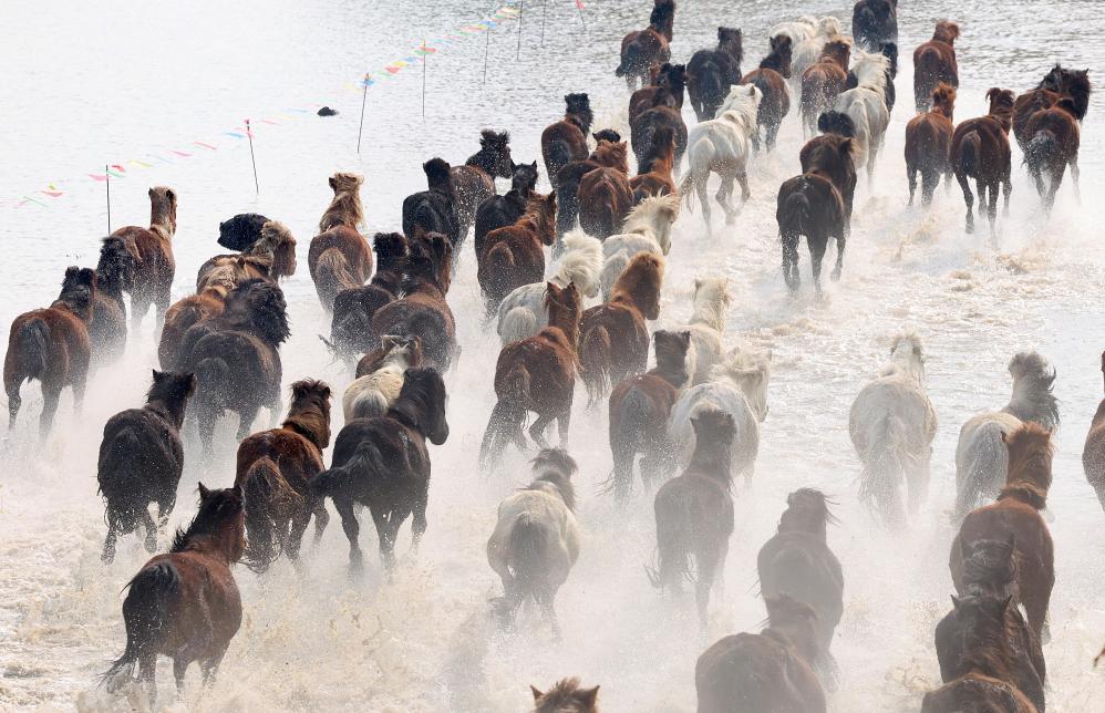 新华视界 | 江苏南通：“天马浴河”迎新春