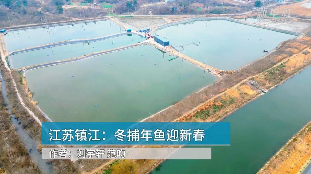 江苏镇江：冬捕年鱼迎新春