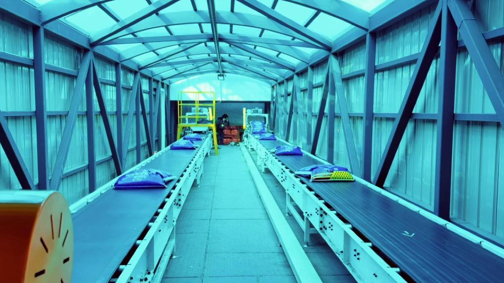 浙江湖州：装车机器人“跑”出新年新速度