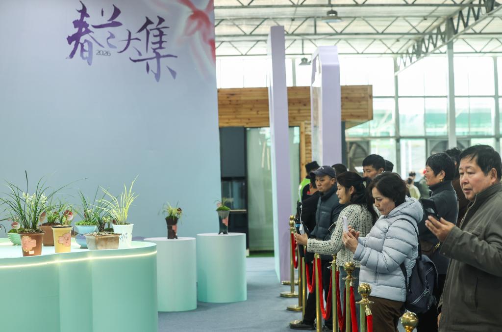 浙江绍兴举办2026春兰大集