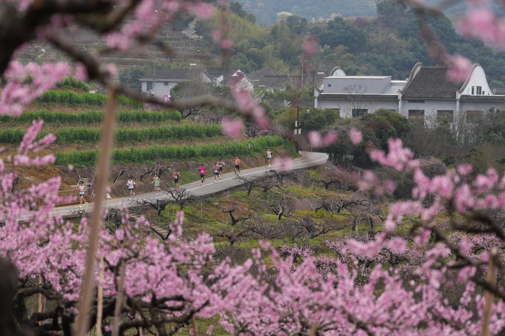 2026奉化马拉松开跑