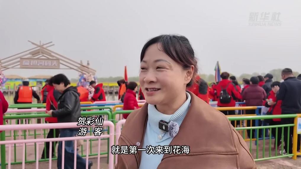 江苏高邮：湖上花开迎客来