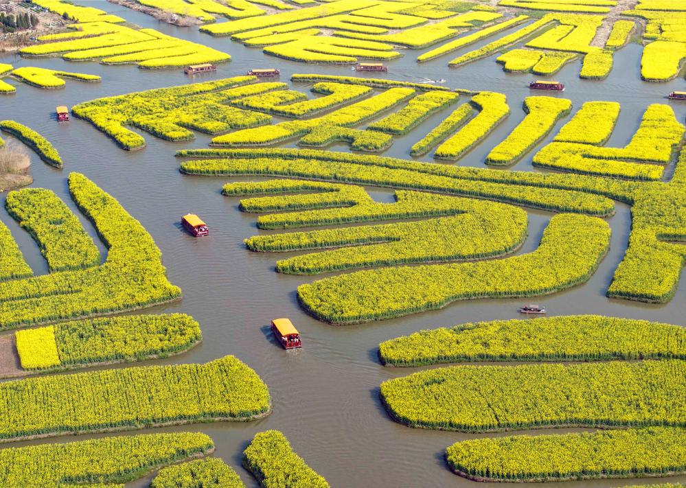 江苏兴化：千垛花海引客来