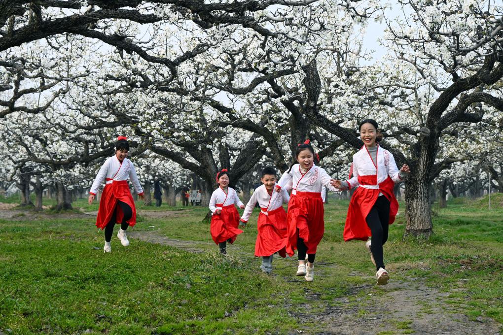 安徽砀山：梨花盛开点燃春日经济