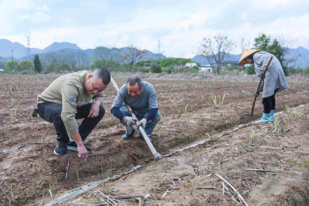 浙江诸暨：“甜蜜议事会”助力乡村共富
