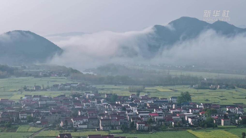 安徽池州：朝颜映山红 锦绣满神州