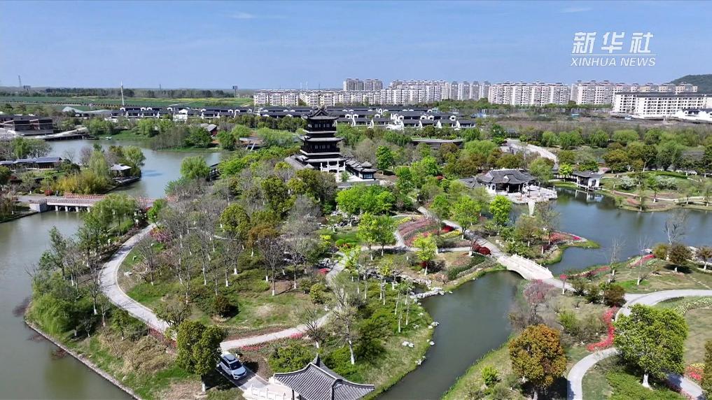 江苏仪征枣林湾春色怡人