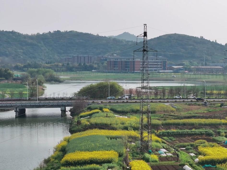 织密“空天地”防护网 江苏常州守护春季电网生命线