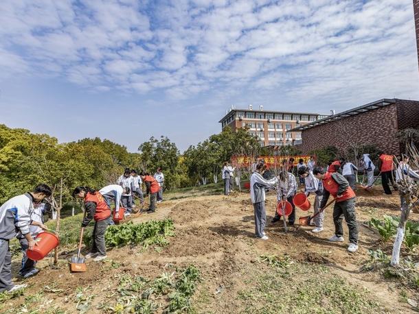 强基层队伍，促乡村振兴——浙江湖州深耕“导师帮带制”观察