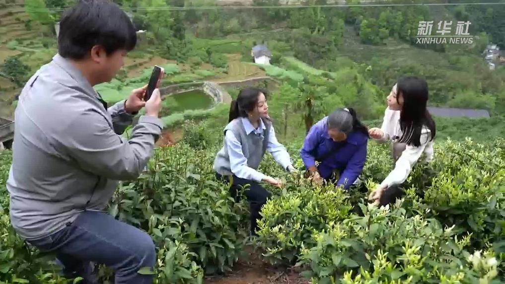 安徽黄山：“和美乡村直播间”点亮民生获得感