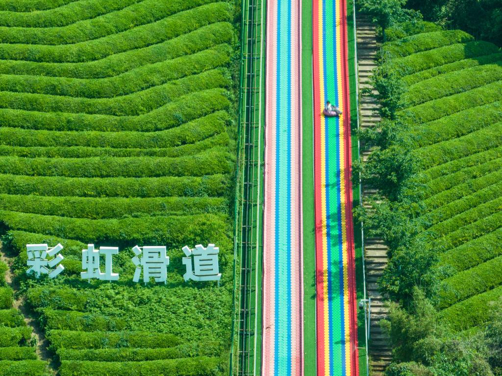 经济大省调研行｜浙江杭州：乡村里火热的“春日经济”