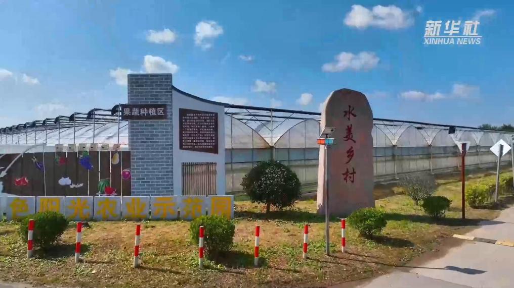 江苏盐城大丰：智慧育苗 助推农业产业化