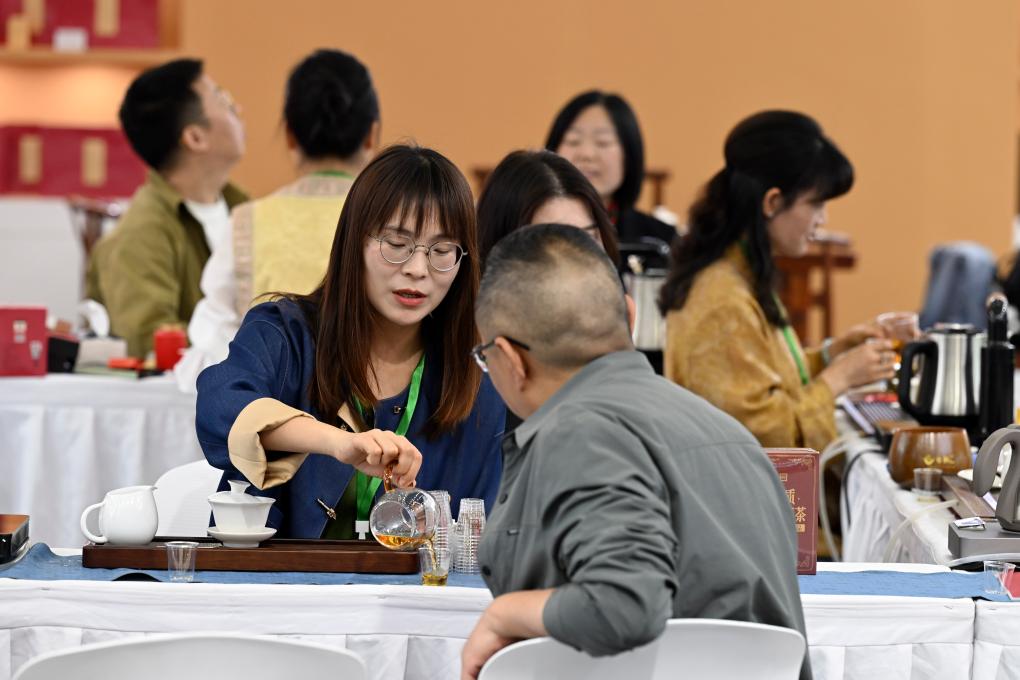 安徽合肥：茶博会 品茶香