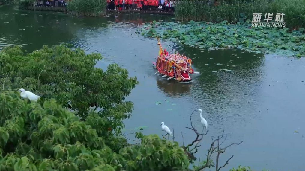 浙江长兴：龙舟逐绿水 非遗迎端午