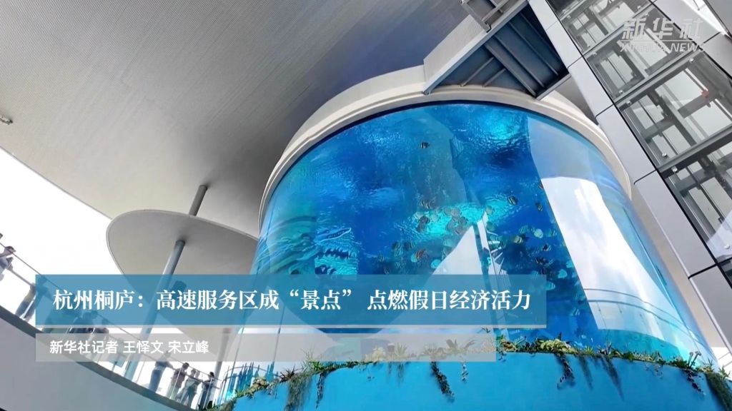 浙江杭州桐庐：高速服务区成“景点” 点燃假日经济活力