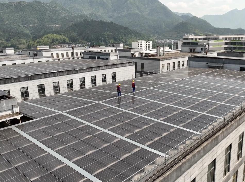 浙江丽水：筑牢安全防线 满格电力守护万家清凉