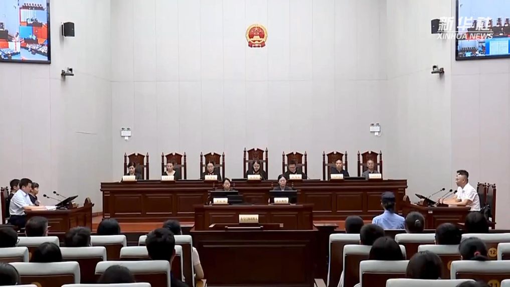 全国首例适用生态环境法典审理的案件在浙江衢州宣判