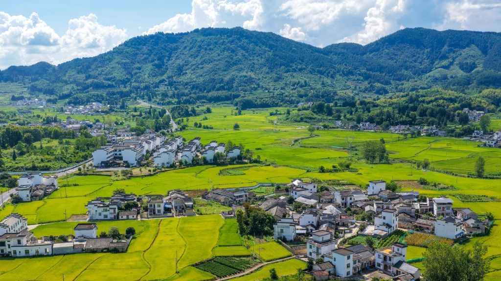 安徽黟县：乡村田园风光美