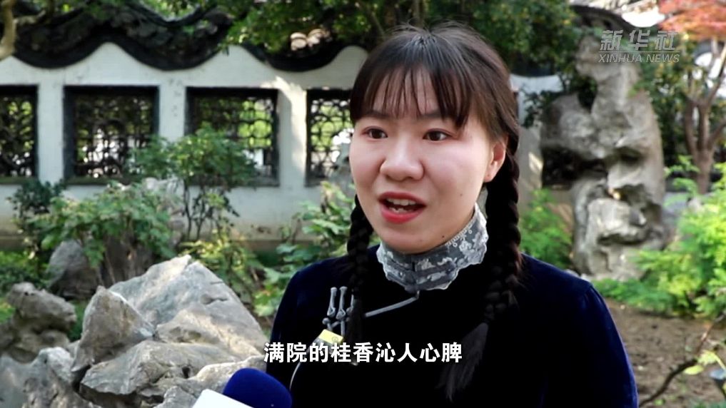 江苏扬州：满城桂花香  赏秋正当时