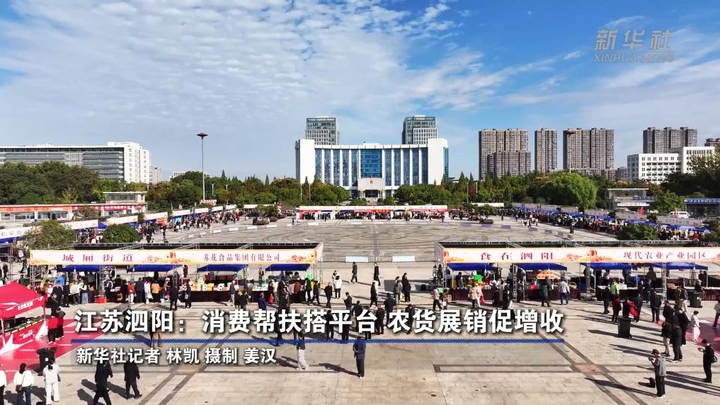江苏泗阳：消费帮扶搭平台 农货展销促增收