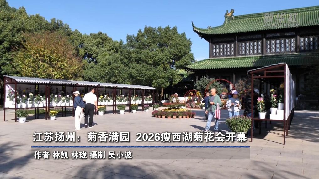 江苏扬州：菊香满园  2026瘦西湖菊花会开幕