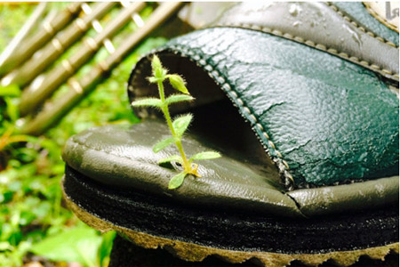 新华网长三角频道