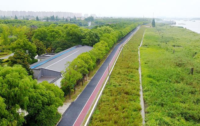 上海:浦江郊野公园试运营图片