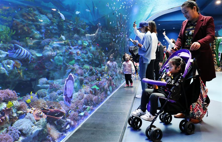 上海海昌海洋公園開門迎客