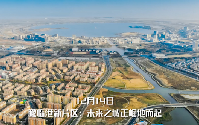 【新華社記者看上海】致敬鏡頭裏的2019，邁向更高品質的2020