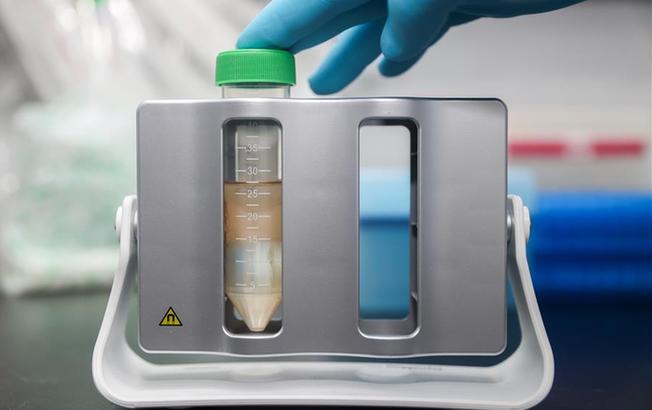 上海：新型冠狀病毒mRNA疫苗研發正式立項