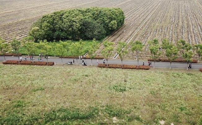 上海：郊野公園遊興濃